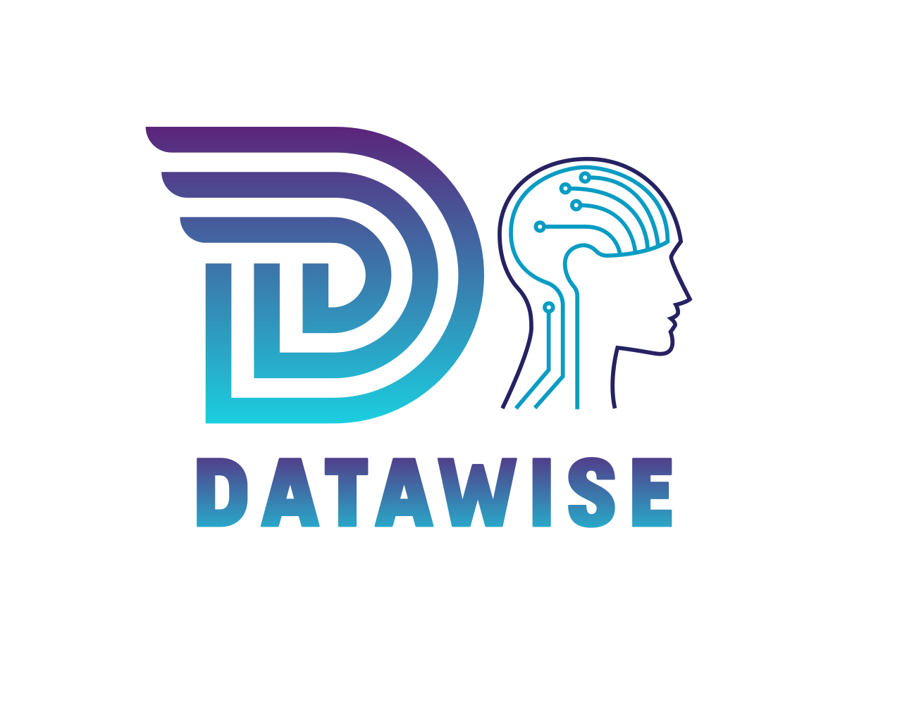 Datawise